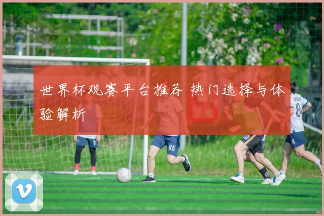 世界杯观赛平台推荐 热门选择与体验解析