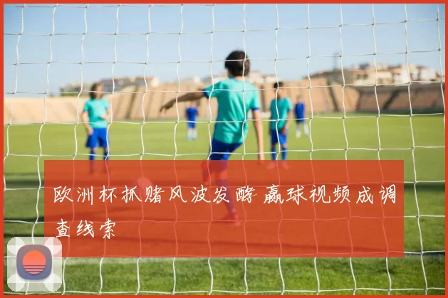 欧洲杯抓赌风波发酵 赢球视频成调查线索