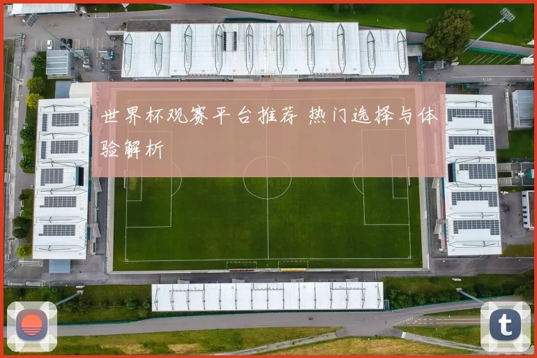 世界杯观赛平台推荐 热门选择与体验解析
