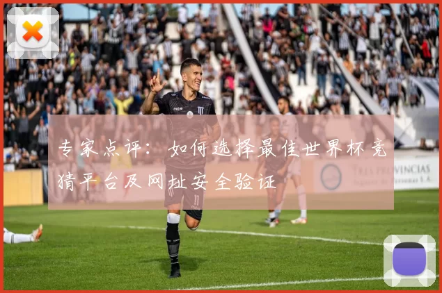 专家点评:如何选择最佳世界杯竞猜平台及网址安全验证