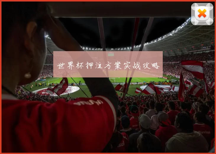 世界杯押注方案实战攻略