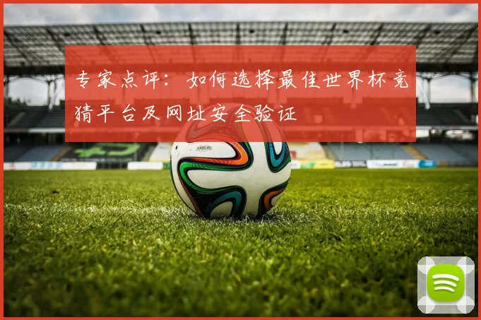 专家点评:如何选择最佳世界杯竞猜平台及网址安全验证