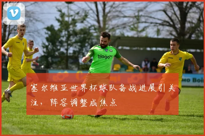 塞尔维亚世界杯球队备战进展引关注,阵容调整成焦点