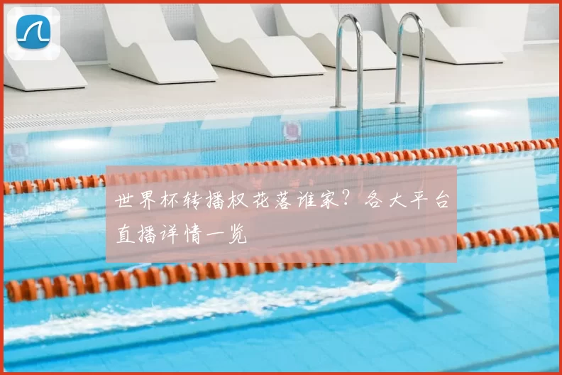 世界杯转播权花落谁家？各大平台直播详情一览