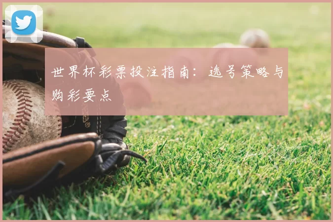 世界杯彩票投注指南：选号策略与购彩要点