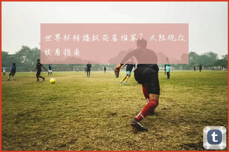 世界杯转播权花落谁家？大陆观众收看指南