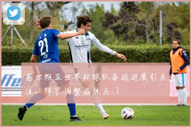 塞尔维亚世界杯球队备战进展引关注,阵容调整成焦点_1