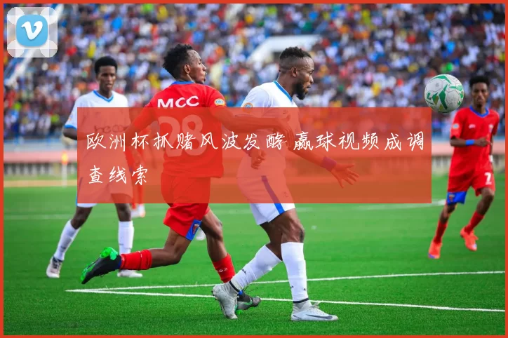 欧洲杯抓赌风波发酵 赢球视频成调查线索