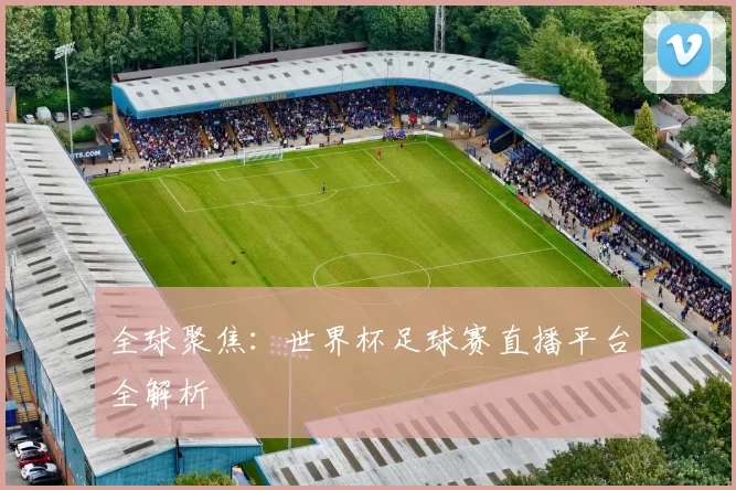 全球聚焦:世界杯足球赛直播平台全解析