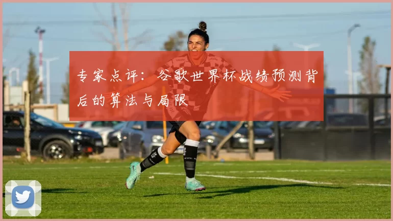 专家点评:谷歌世界杯战绩预测背后的算法与局限