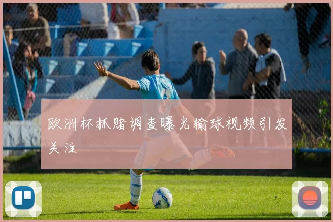 欧洲杯抓赌调查曝光输球视频引发关注