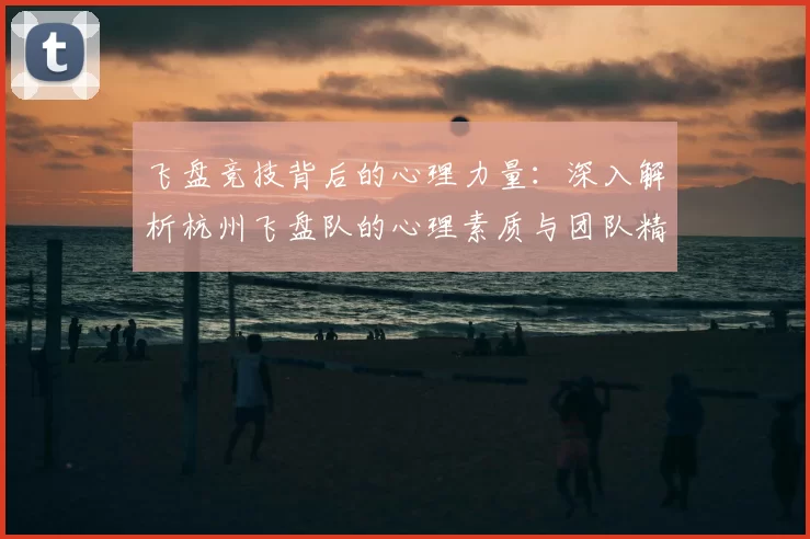 飞盘竞技背后的心理力量：深入解析杭州飞盘队的心理素质与团队精神