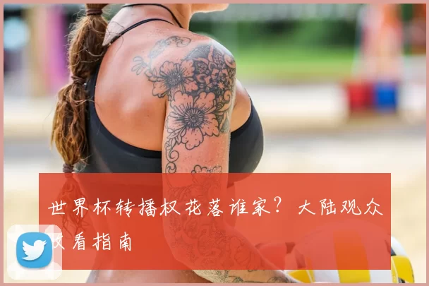 世界杯转播权花落谁家？大陆观众收看指南