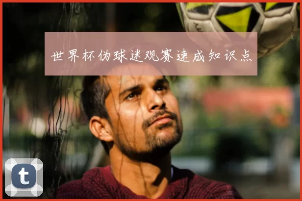 世界杯伪球迷观赛速成知识点